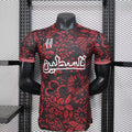 Maillot Palestine concept 2025-26 v3 - vue 1