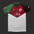 Maillot Palestine saison 2023-2024 édition spéciale Stand for Gaza - vue 1