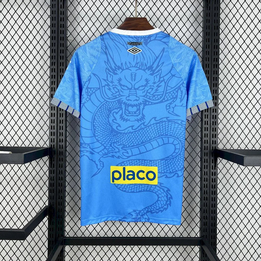 Maillot Santos concept 2025-26 v3 - vue 2