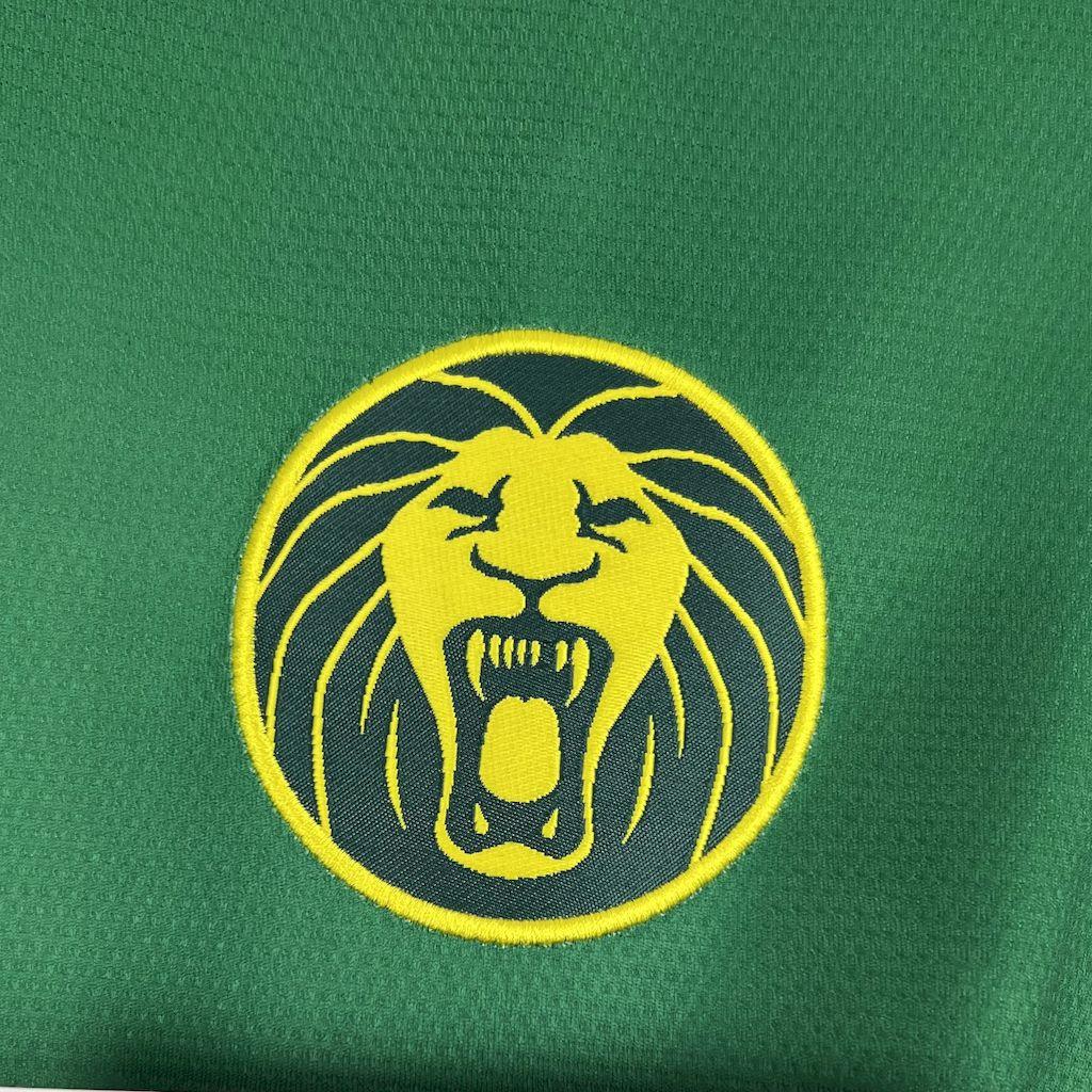 Maillot Cameroun CAN 2025-26 v1 - vue 4
