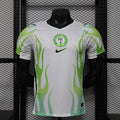 Maillot Nigeria extérieur coupe du monde 2026 - vue 1