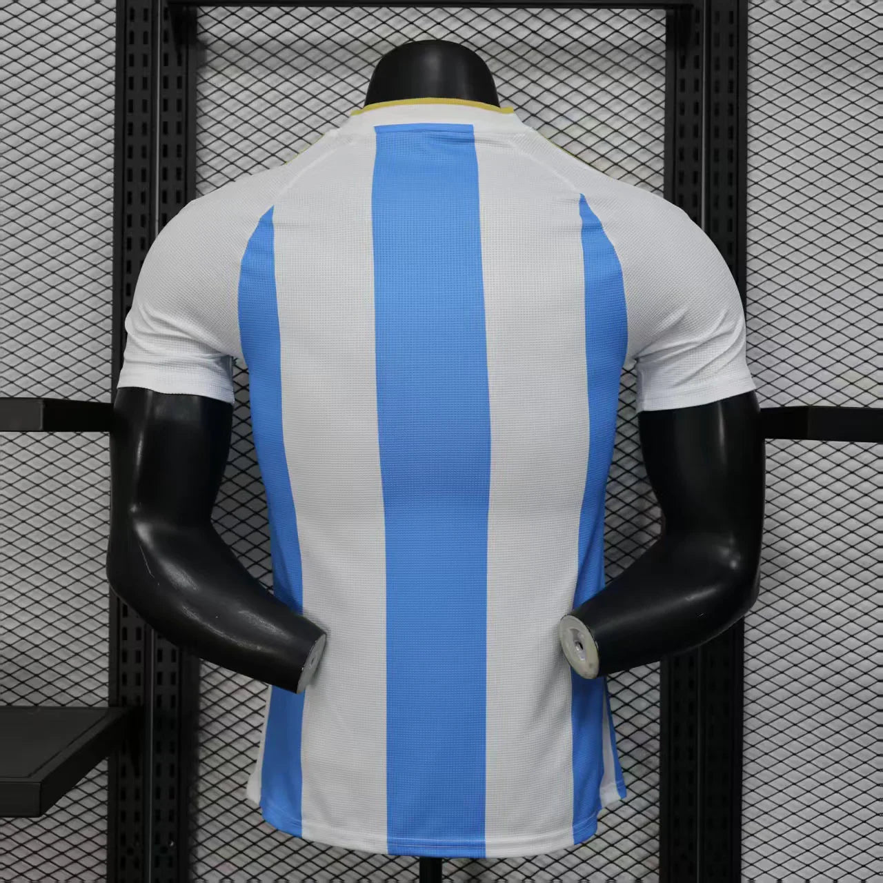 Maillot Argentine 2025/26 - vue 4