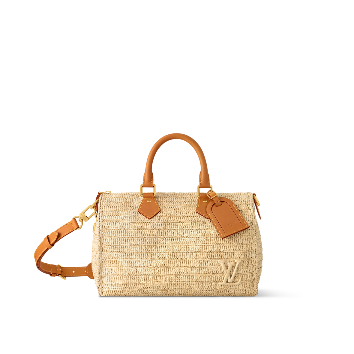 LV-TN2 Sac Speedy 30 Bandoulière v1 - vue 1