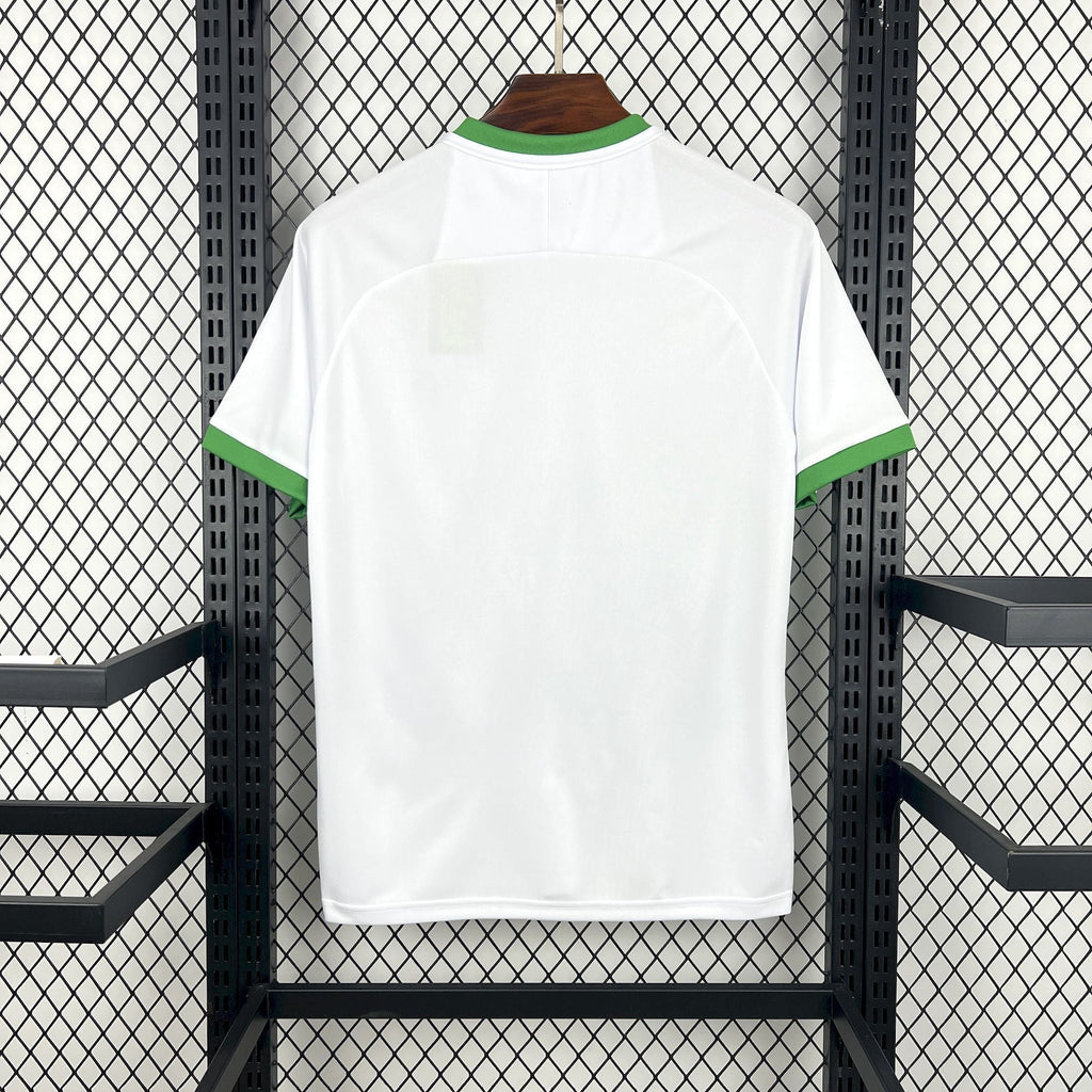 Maillot Irlande Concept 2026 - vue 2