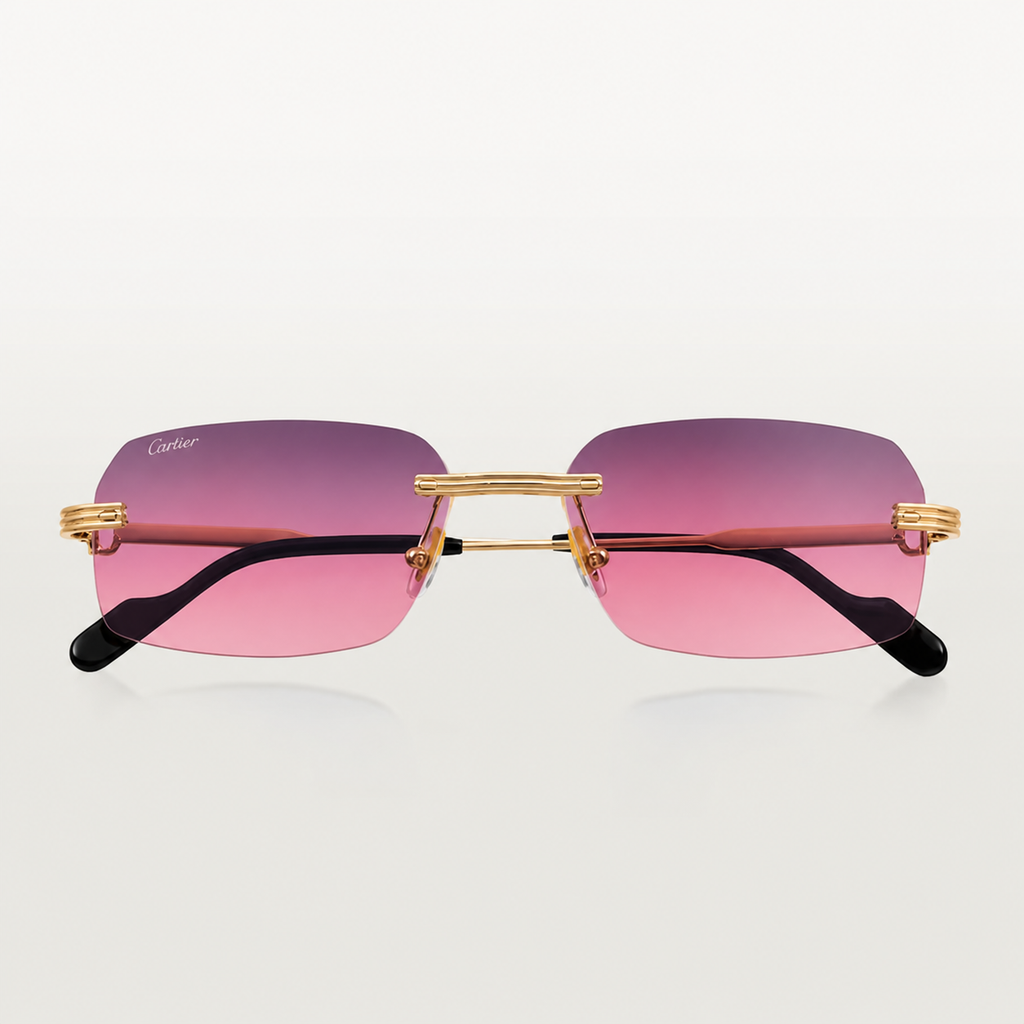 CR-TR Lunettes solaires panthère de v4 - vue 6