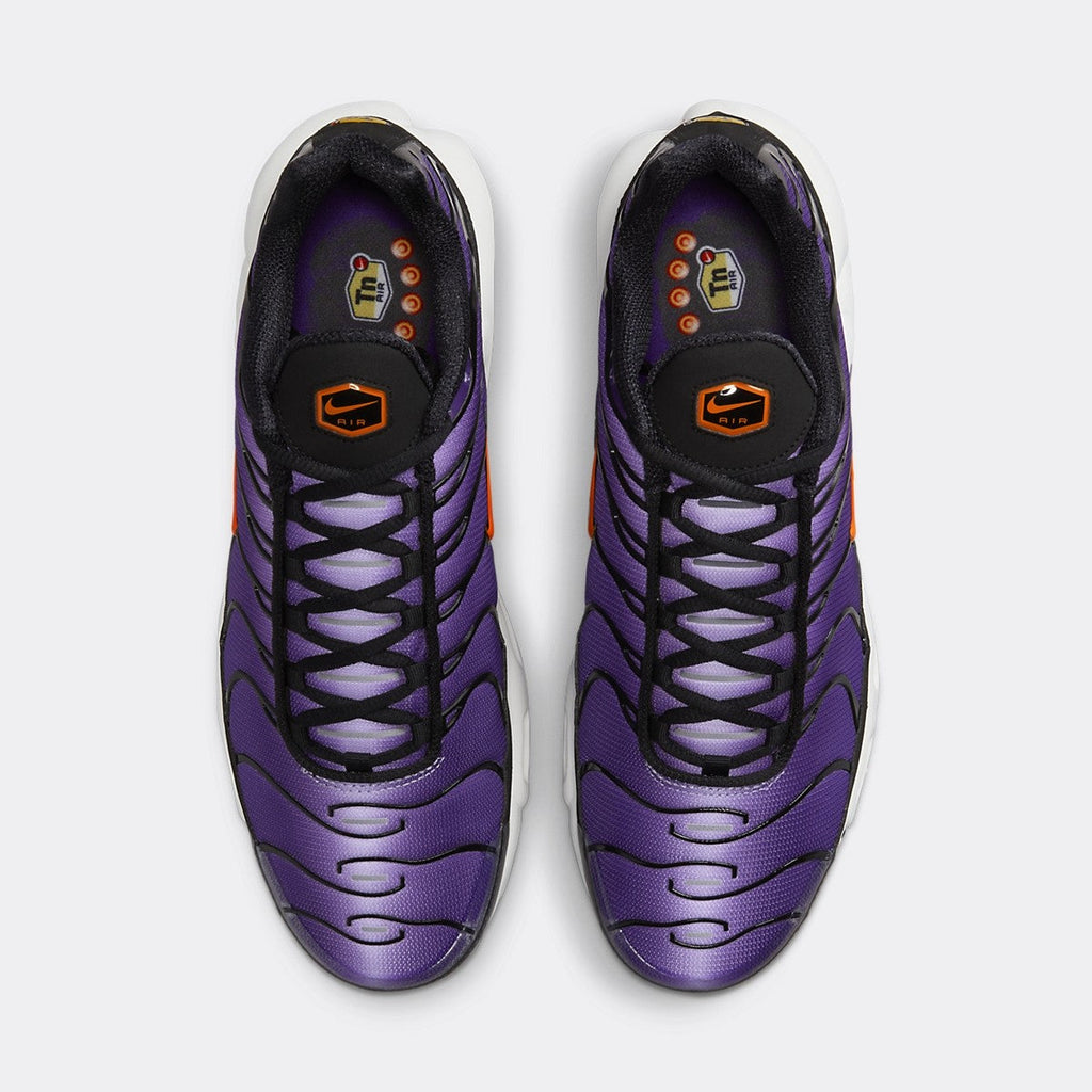NK T-Net plus Purple