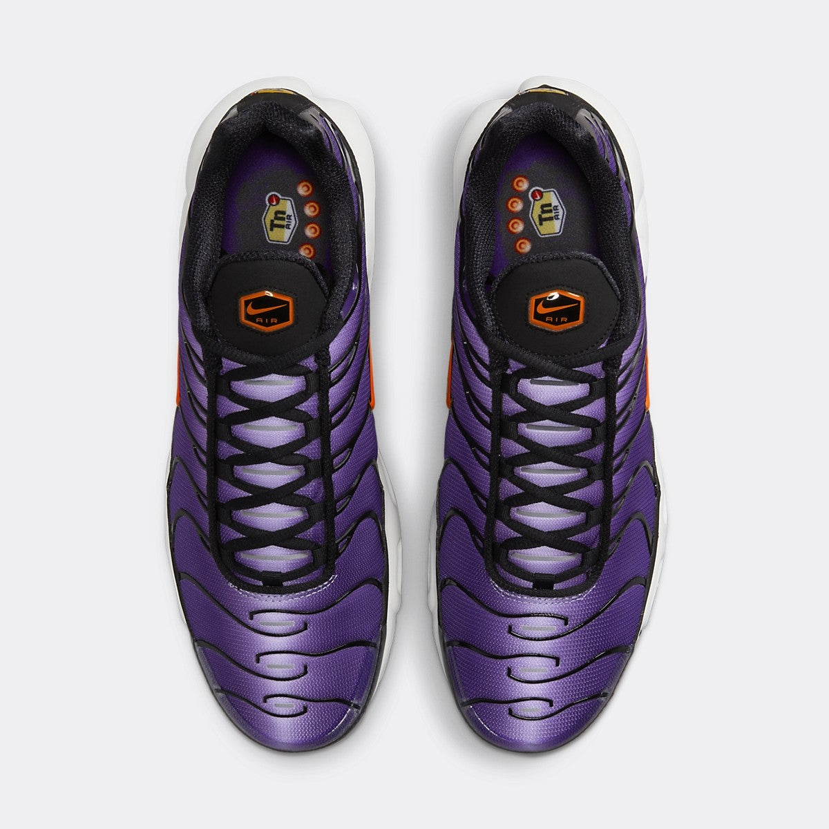 NK T-Net plus Purple
