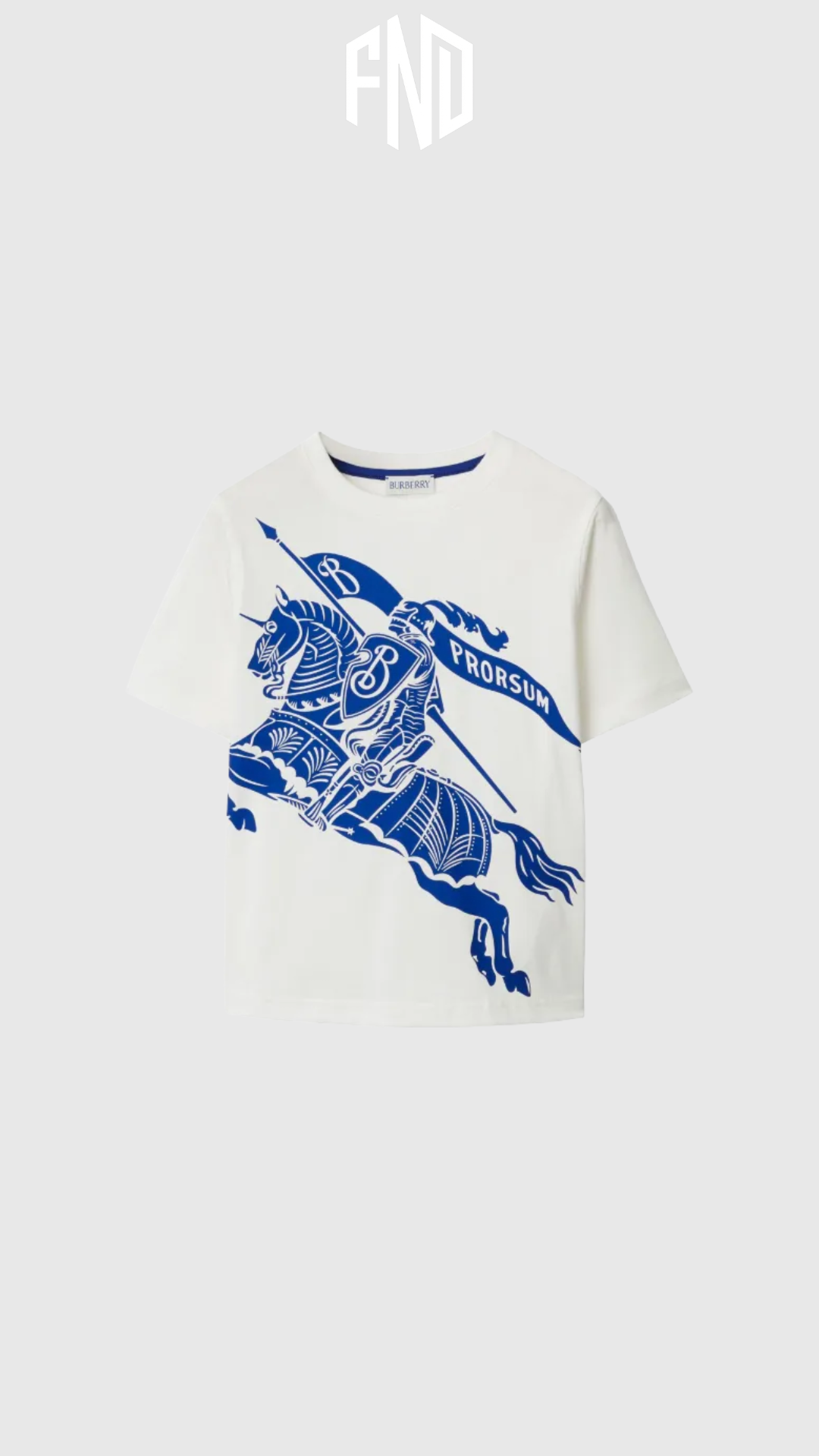 Outfit Blueberry - vue 2