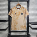 MAILLOT ARGENTINE ÉDITION SPÉCIALE 2023/24 - vue 1
