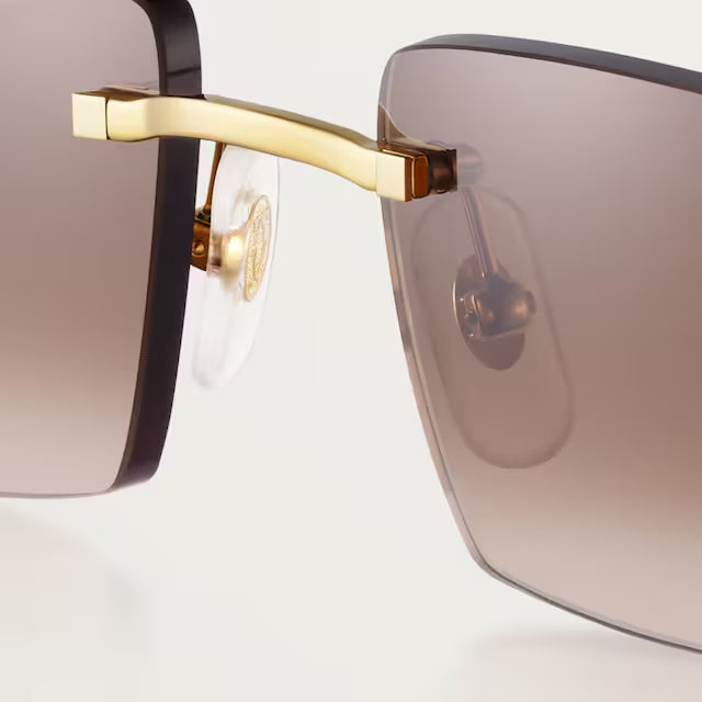 CR-TR Lunettes solaires panthère de v3 - vue 4