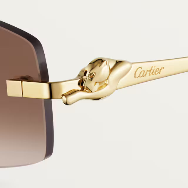 CR-TR Lunettes solaires panthère de v3 - vue 5