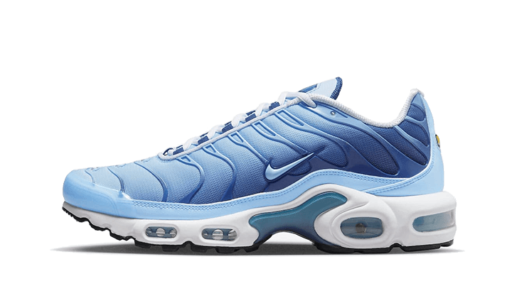 NK Air Max Plus University Blue Gradient