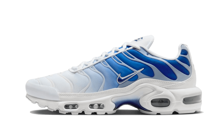 NK Air Max Plus Blue Fade