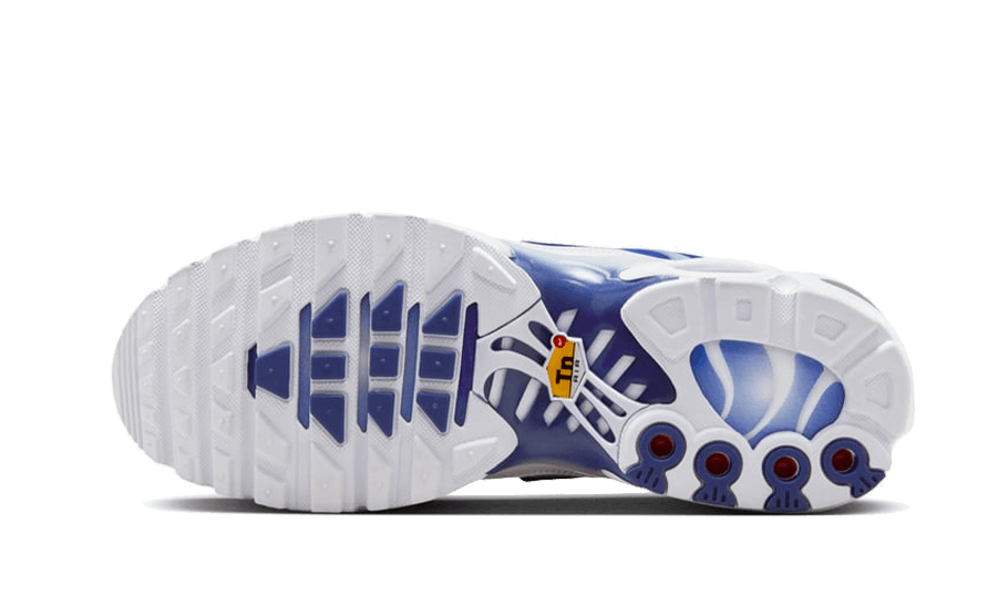 NK Air Max Plus Blue Fade