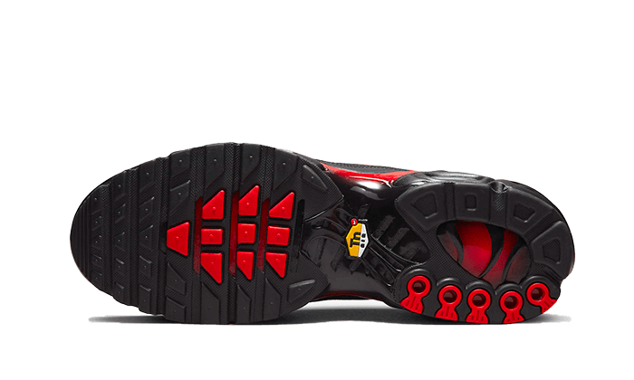 NK Air Max Plus Bred Reflective