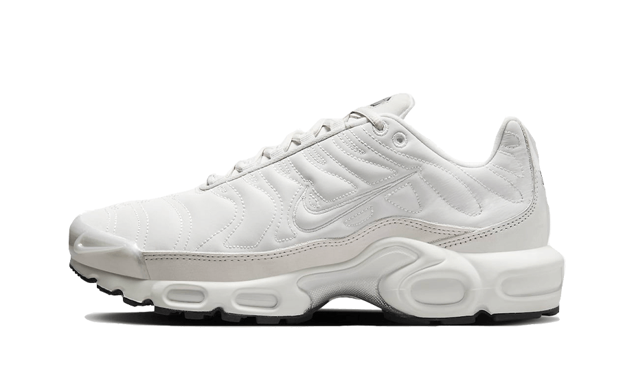 NK Air Max Plus Reflective Platinum