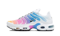 NK Air Max Plus Summer Gradient