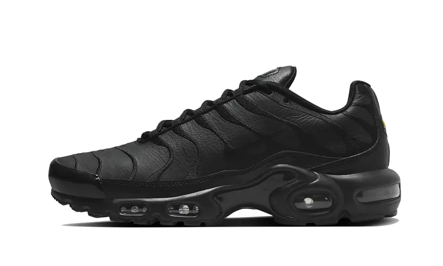 NK Air Max Plus Triple Black Leather