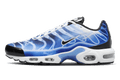 NK Air Max Plus Light Photography Old Royal
